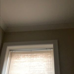 Meet your Posher, Regina